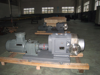 普利施65PLST6-10 日用化工轉子泵,甘油、化妝品料漿輸送泵 價格優惠歡迎咨詢圖片_高清圖_細節圖-江蘇普利施泵業 -